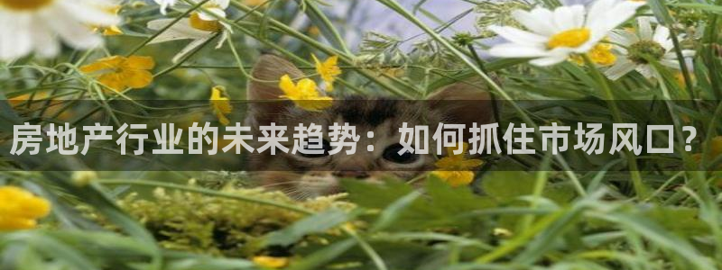 新宝5开户：房地产行业的未来趋势：如何抓住市场风口？