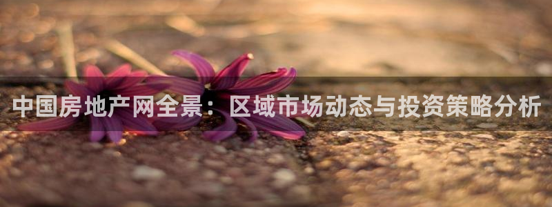 新宝5：中国房地产网全景：区域市场动态与投资策略分析