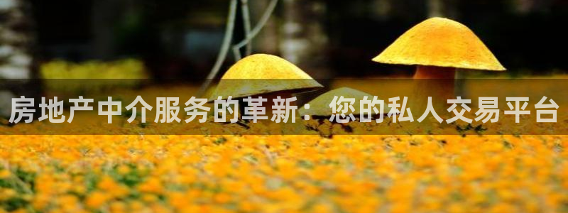 新宝5玩法：房地产中介服务的革新：您的私人交易平台