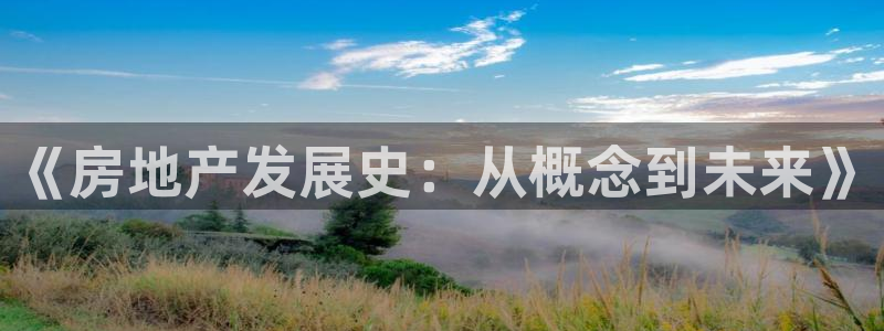 新宝速5：《房地产发展史：从概念到未来》