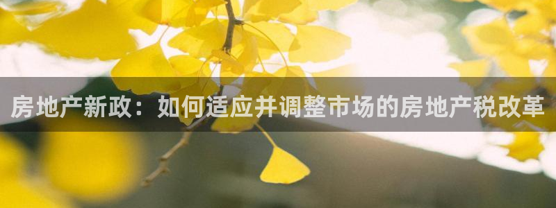新宝5官网app：房地产新政：如何适应并调整市场的房地产税改