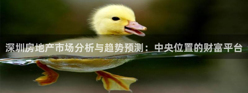 新宝5平台：深圳房地产市场分析与趋势预测：中央位置的财富平台