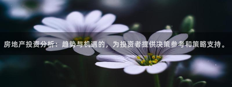 新宝5娱乐然：房地产投资分析：趋势与机遇的，为投资者提供决策