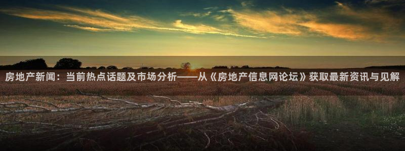 新宝5平台咋样：房地产新闻：当前热点话题及市场分析——从《房
