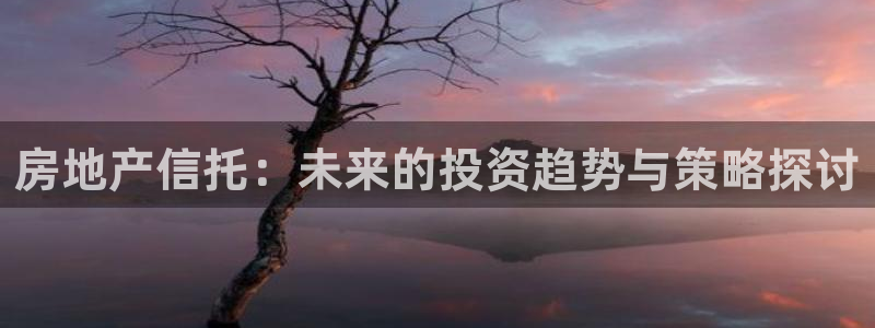 新宝5挂机：房地产信托：未来的投资趋势与策略探讨