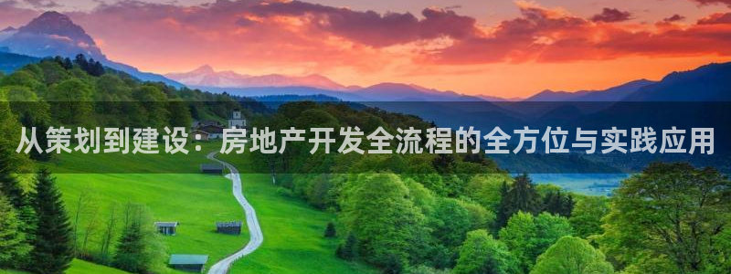 新宝5月：从策划到建设：房地产开发全流程的全方位与实践应用