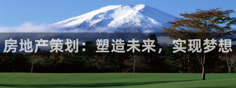 新宝5注册首页：房地产策划：塑造未来，实现梦想
