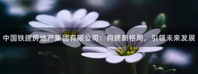 新宝5手机版：中国铁建房地产集团有限公司：构建新格局，引领未