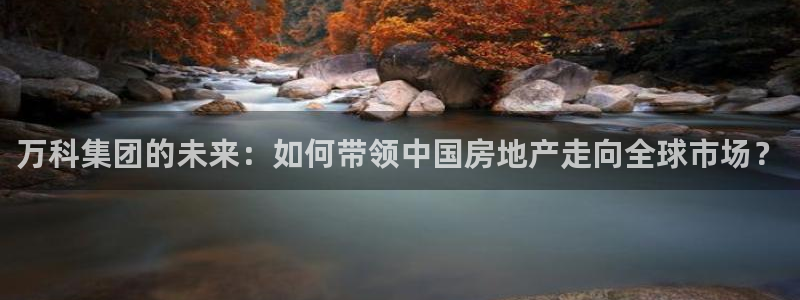 新宝rc_5w：万科集团的未来：如何带领中国房地产走向全球市