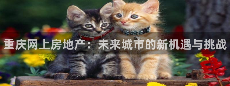 新宝b2O5O5O：重庆网上房地产：未来城市的新机遇与挑战