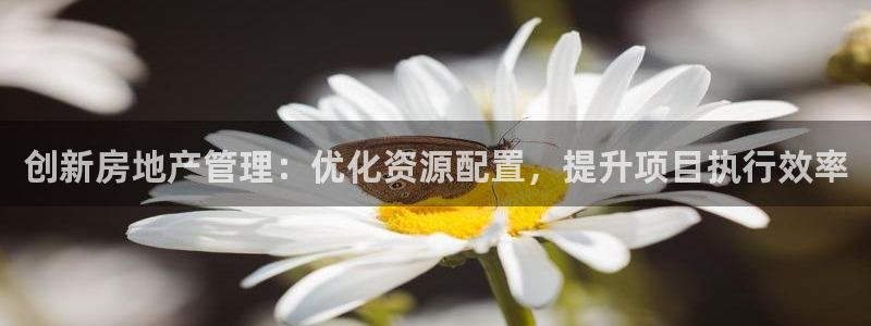 新宝5球维33 300：创新房地产管理：优化资源配置，提升项