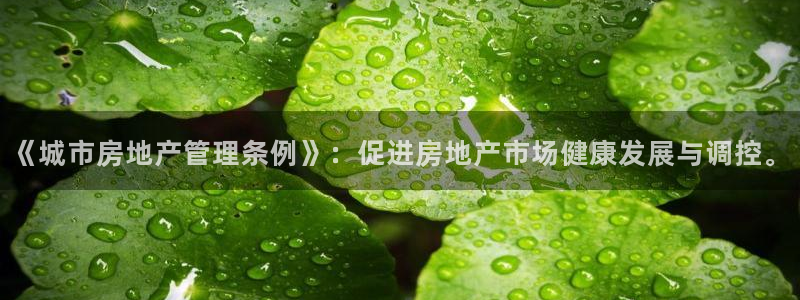 新宝5卫74OOO5：《城市房地产管理条例》：促进房地产市场