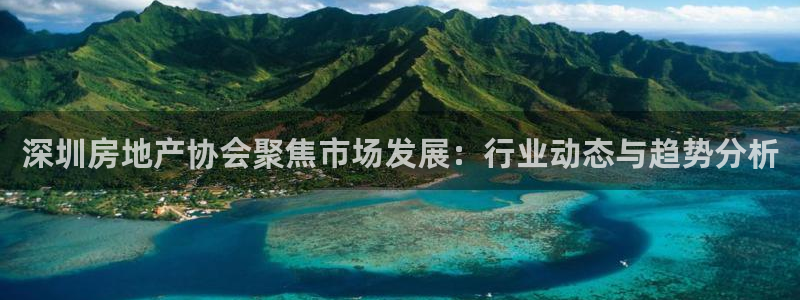 新宝5为啥开：深圳房地产协会聚焦市场发展：行业动态与趋势分析