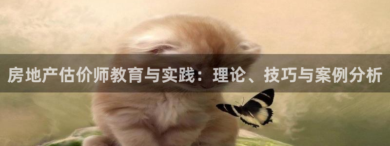 新宝5招商部：房地产估价师教育与实践：理论、技巧与案例分析