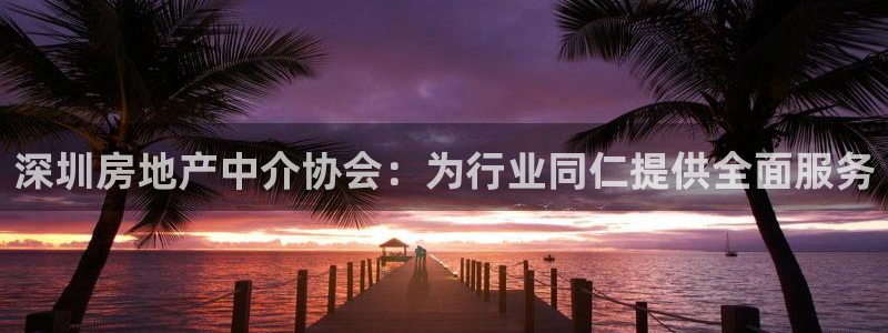 新宝5如何注册登录：深圳房地产中介协会：为行业同仁提供全面服