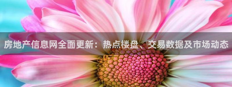 新宝5官网app：房地产信息网全面更新：热点楼盘、交易数据及