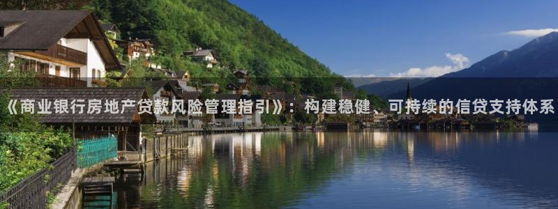 新宝堂新会陈皮5年：《商业银行房地产贷款风险管理指引》：构建