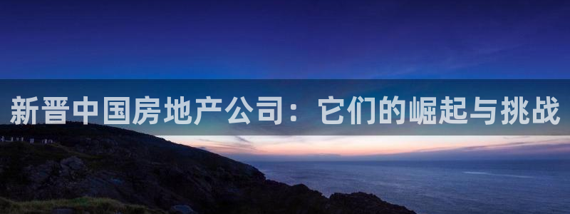 新宝5系列：新晋中国房地产公司：它们的崛起与挑战