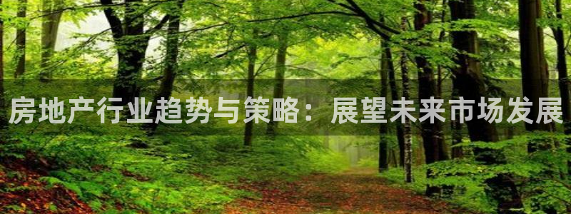 新宝新5：房地产行业趋势与策略：展望未来市场发展