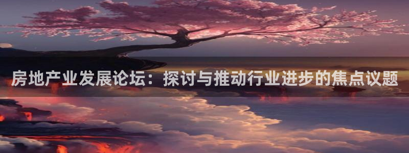 新宝gg5：房地产业发展论坛：探讨与推动行业进步的焦点议题