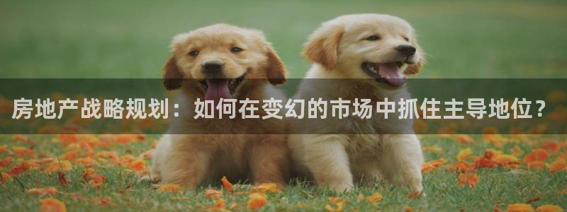 新宝5注册流程：房地产战略规划：如何在变幻的市场中抓住主导地