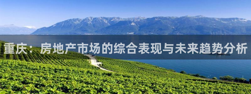 新宝gg5：重庆：房地产市场的综合表现与未来趋势分析