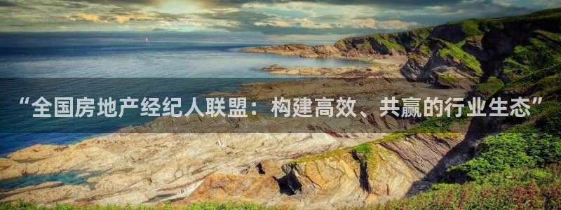 皇冠新宝5：“全国房地产经纪人联盟：构建高效、共赢的行业生态