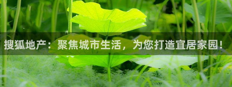 新宝5日谢29999：搜狐地产：聚焦城市生活，为您打造宜居家