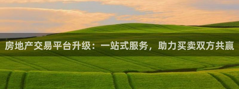 新宝5测速下载：房地产交易平台升级：一站式服务，助力买卖双方
