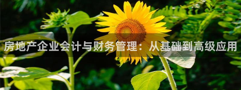 新宝5秒开：房地产企业会计与财务管理：从基础到高级应用