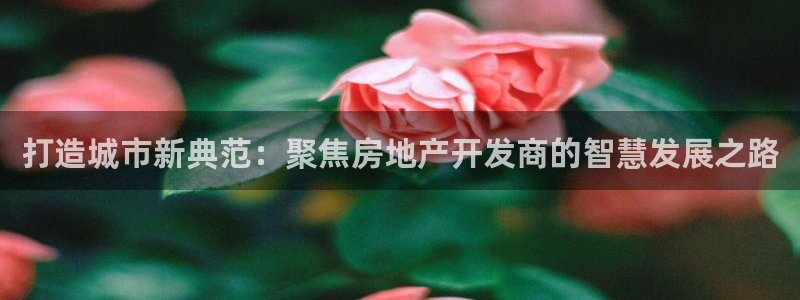 新宝5蒋7O667：打造城市新典范：聚焦房地产开发商的智慧发
