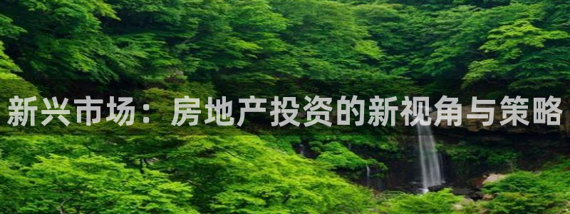 新宝5代理注册：新兴市场：房地产投资的新视角与策略