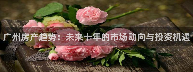 新宝5官网：广州房产趋势：未来十年的市场动向与投资机遇