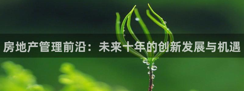 新宝cR一5：房地产管理前沿：未来十年的创新发展与机遇