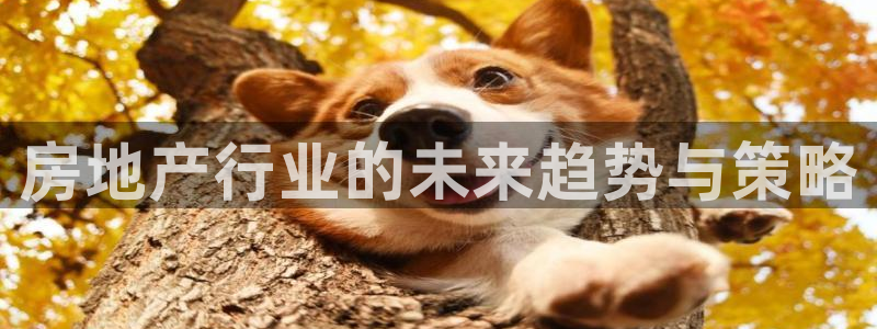 新宝5巅峰：房地产行业的未来趋势与策略