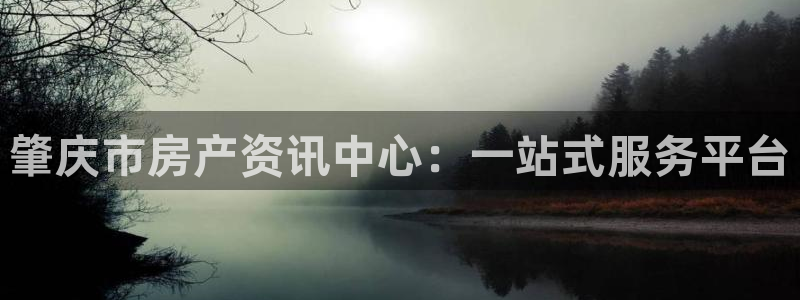 新宝5怎么代理