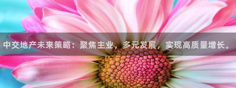 新宝5平台：中交地产未来策略：聚焦主业，多元发展，实现高质量
