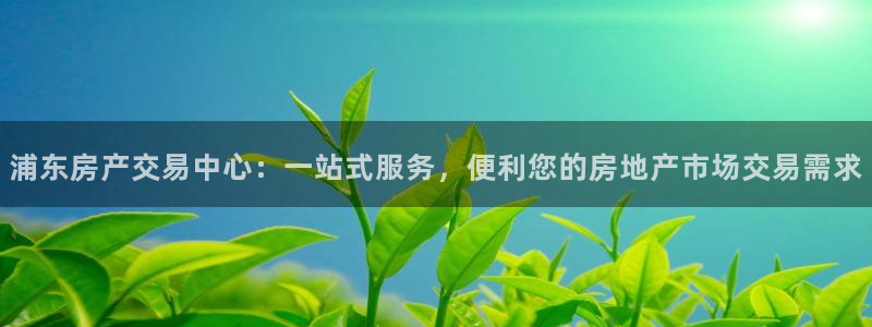 新宝5官网app