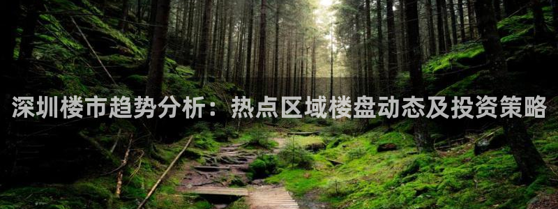新宝G5：深圳楼市趋势分析：热点区域楼盘动态及投资策略
