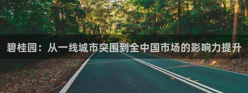菲律宾新宝5老板：碧桂园：从一线城市突围到全中国市场的影响力