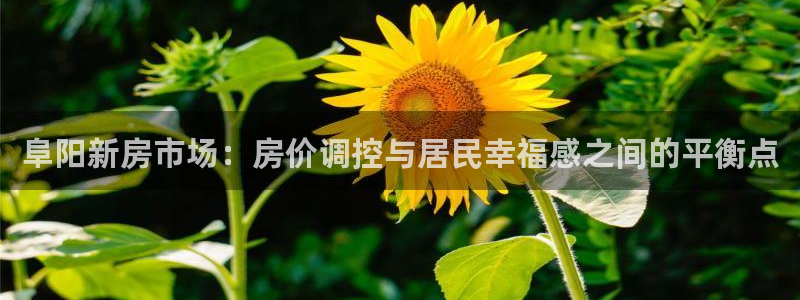 新宝娱乐5入口：阜阳新房市场：房价调控与居民幸福感之间的平衡