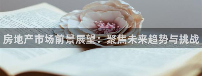 新宝5骗术：房地产市场前景展望：聚焦未来趋势与挑战