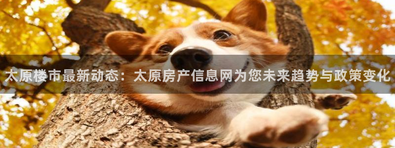 新宝5娱乐平台：太原楼市最新动态：太原房产信息网为您未来趋势