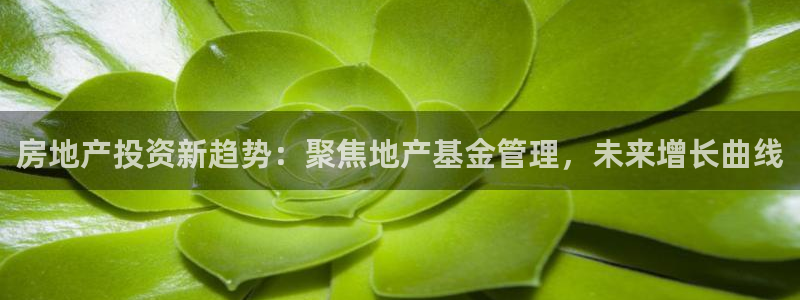 新宝5源码：房地产投资新趋势：聚焦地产基金管理，未来增长曲线