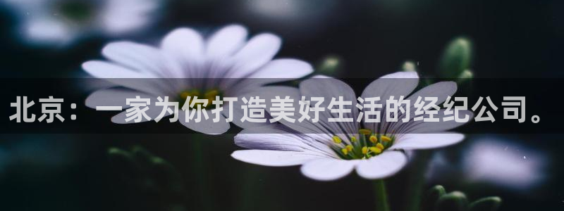 新宝5链接：北京：一家为你打造美好生活的经纪公司。