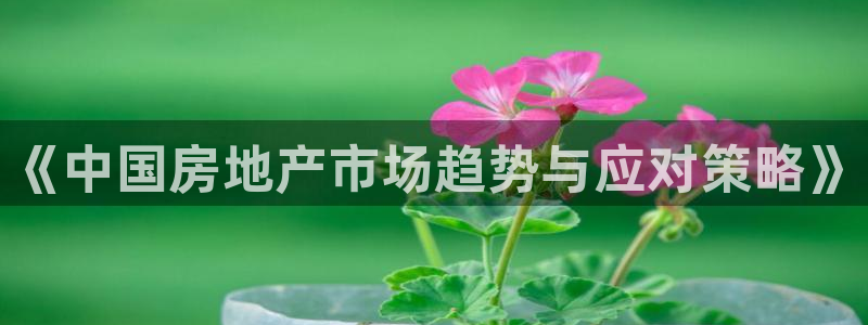 新宝5安卓版：《中国房地产市场趋势与应对策略》