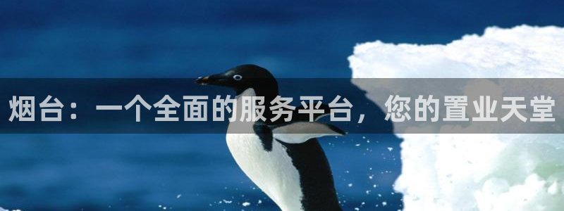 新宝5培训：烟台：一个全面的服务平台，您的置业天堂