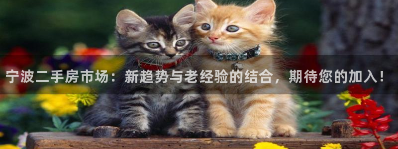 新宝5平台登录下载软件：宁波二手房市场：新趋势与老经验的结合