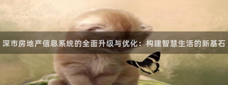 新宝5娱乐网址：深市房地产信息系统的全面升级与优化：构建智慧