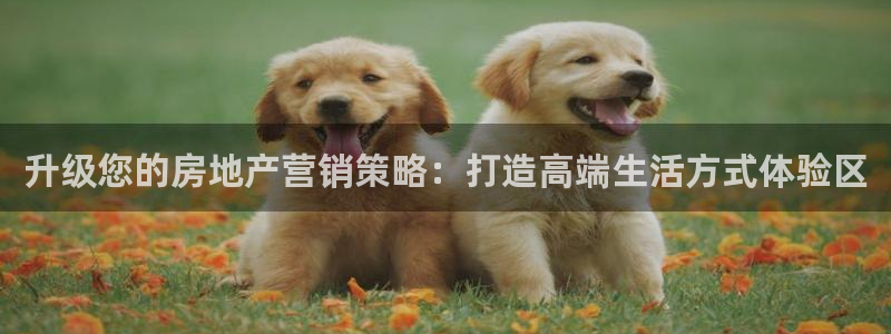 新宝5挂机：升级您的房地产营销策略：打造高端生活方式体验区